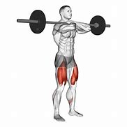 Image result for Front Squat