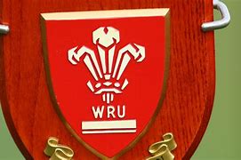 Image result for Welsh Rugby Union Makes