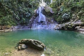 Image result for Puerto Rico Rivers