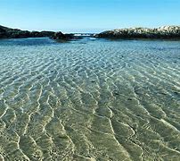 Image result for Isle of Coll Grapevine