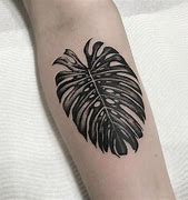 Image result for Planta Monstera Tatuaje