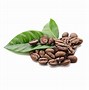 Image result for Coffee Beans