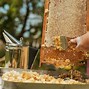 Image result for Beekeeping for Beginners