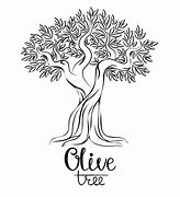 Image result for Olive Tree with White and Red Flowers