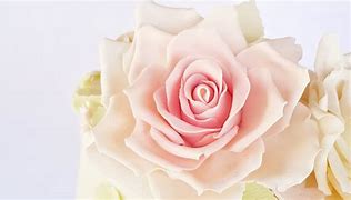 Image result for Sugar Flower Tutorial