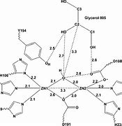 Image result for Active Site Diagram