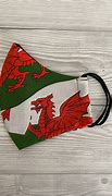 Image result for Welsh Dragon Flag Dinner Suit