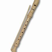 Image result for Musical Instruments Flute