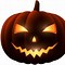 Image result for Fera Pumpkin