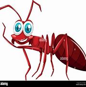 Image result for Ant Face