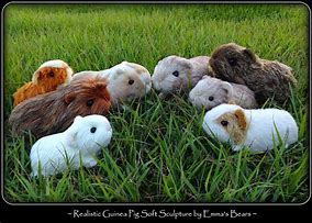 Image result for Guinea Pig Plushie