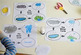 Image result for Life Cycle Preschool Art