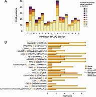 Image result for CCU Codon