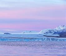 Image result for Arctic Nature