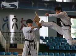 Image result for Front Kick Taekwondo