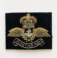 Image result for Fleet Air Arm Observer Badge