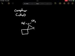 Image result for Camphor Condensed Structural Formula