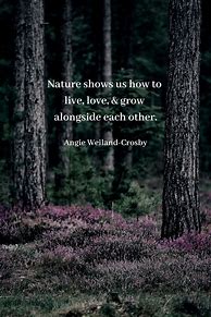 Image result for Find Peace in Nature Quotes