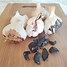 Image result for Black Garlic