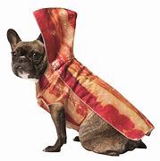 Image result for Bacon Hair Dog