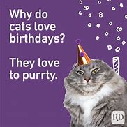 Image result for Funny Happy Birthday Puns