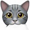 Image result for Tabby Gray Cat Emoji