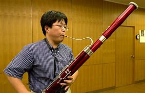 Image result for Bassoon