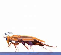 Image result for Robotic Bug