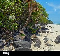 Image result for Secluded Beaches East Coast Australia