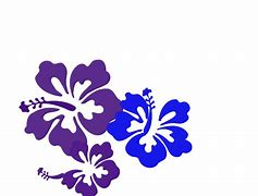 Image result for Purple Hibiscus Flower Clip Art