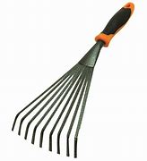 Image result for Rake Human Form