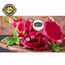 Image result for Tangkai Buah Naga Merah