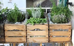 Image result for Urban Gardening Balkon