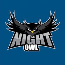 Image result for Night Owl Posters