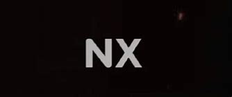 Image result for Nintendo NX Logo