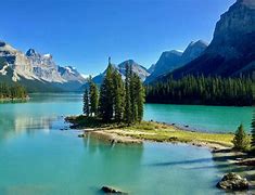 Image result for Brotherton Jasper