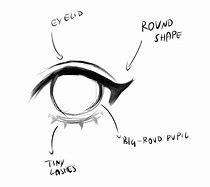 Image result for Sketches of Ladies with Downcast Eyes