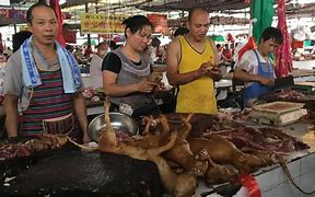 Image result for Chinese Night Market Dog Meat