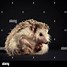 Image result for In the Hoop Hedgehog