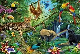 Image result for Real Forest Animals