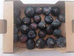 Image result for Fresh Figs in Orange Bucket