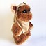 Image result for Ewok Teddy Bear