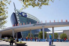 Image result for Aquario De Atlanta