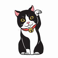 Image result for Chonky Tuxedo Cat