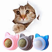 Image result for Catnip Balls Cat Toys