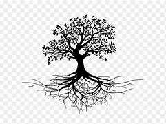 Image result for Tree Roots Clip Art Black and White