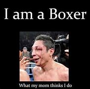 Image result for Boxing Meme