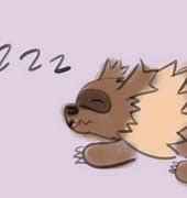 Image result for Zigzagoon Sleeping