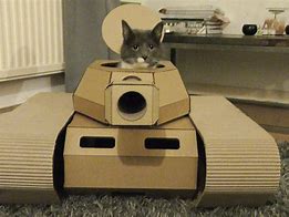 Image result for Cat Tank Meme