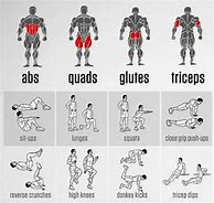 Image result for Different Parts of Body to Workout